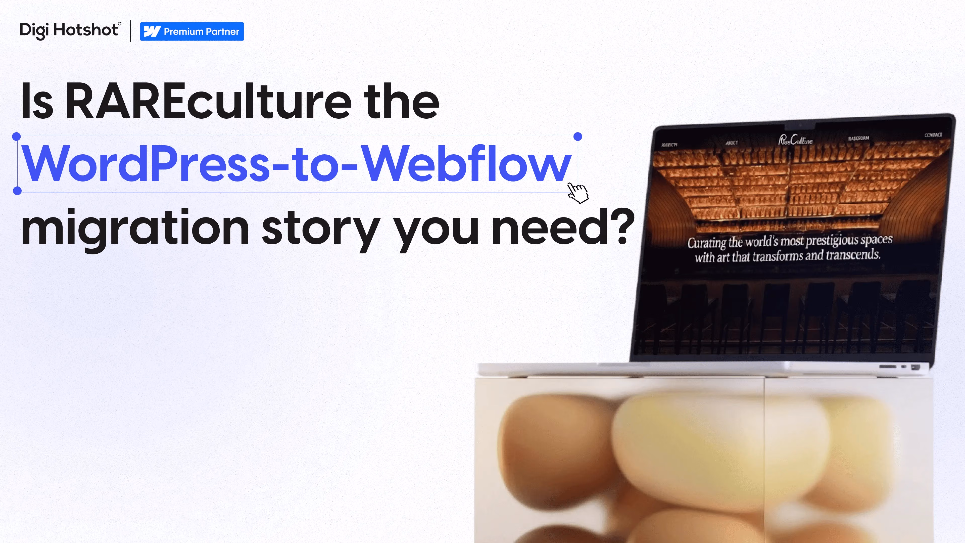 RAREculture: WordPress to Webflow, Days to Hours Publishing