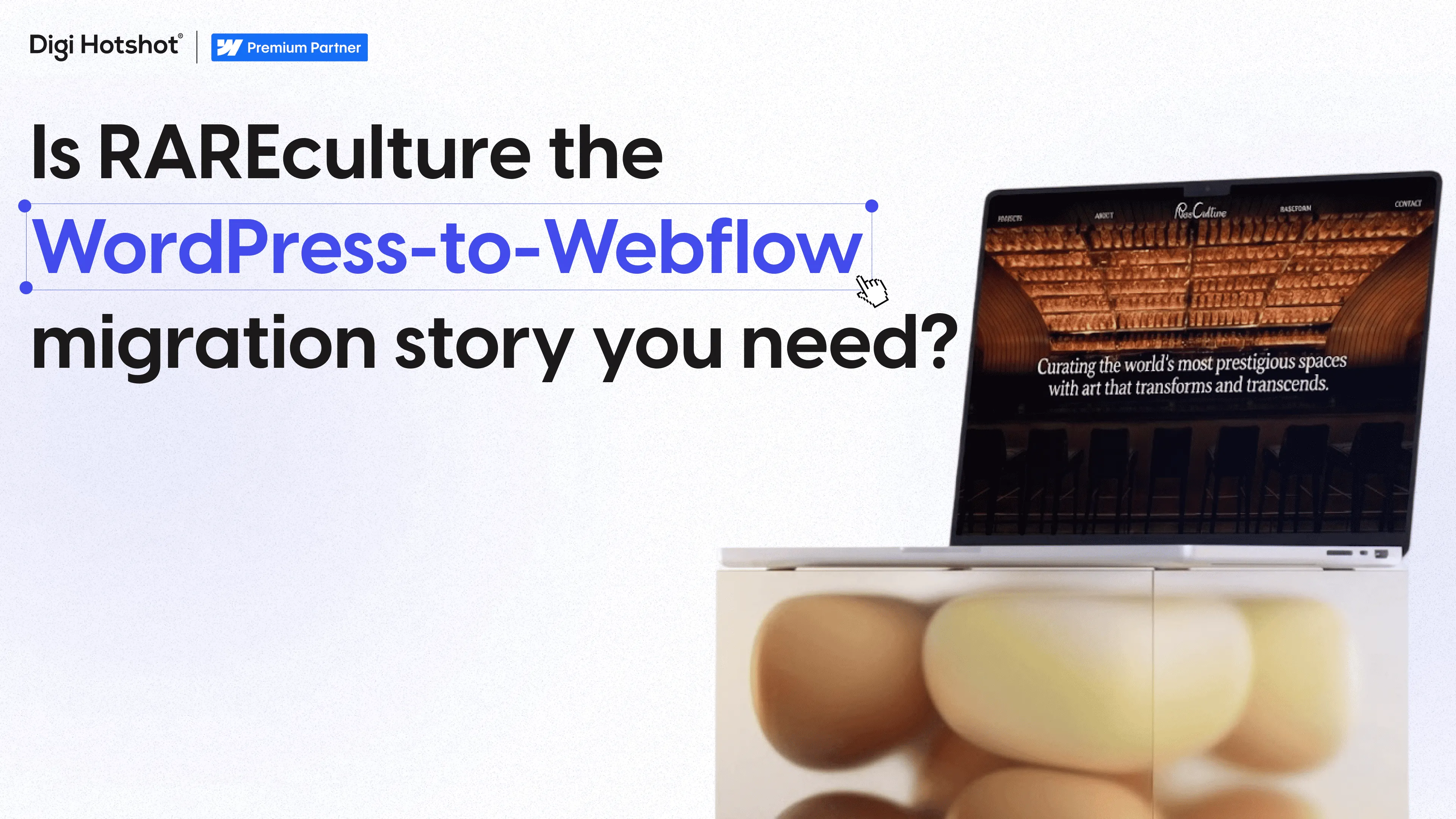 RAREculture: WordPress to Webflow, Days to Hours Publishing
