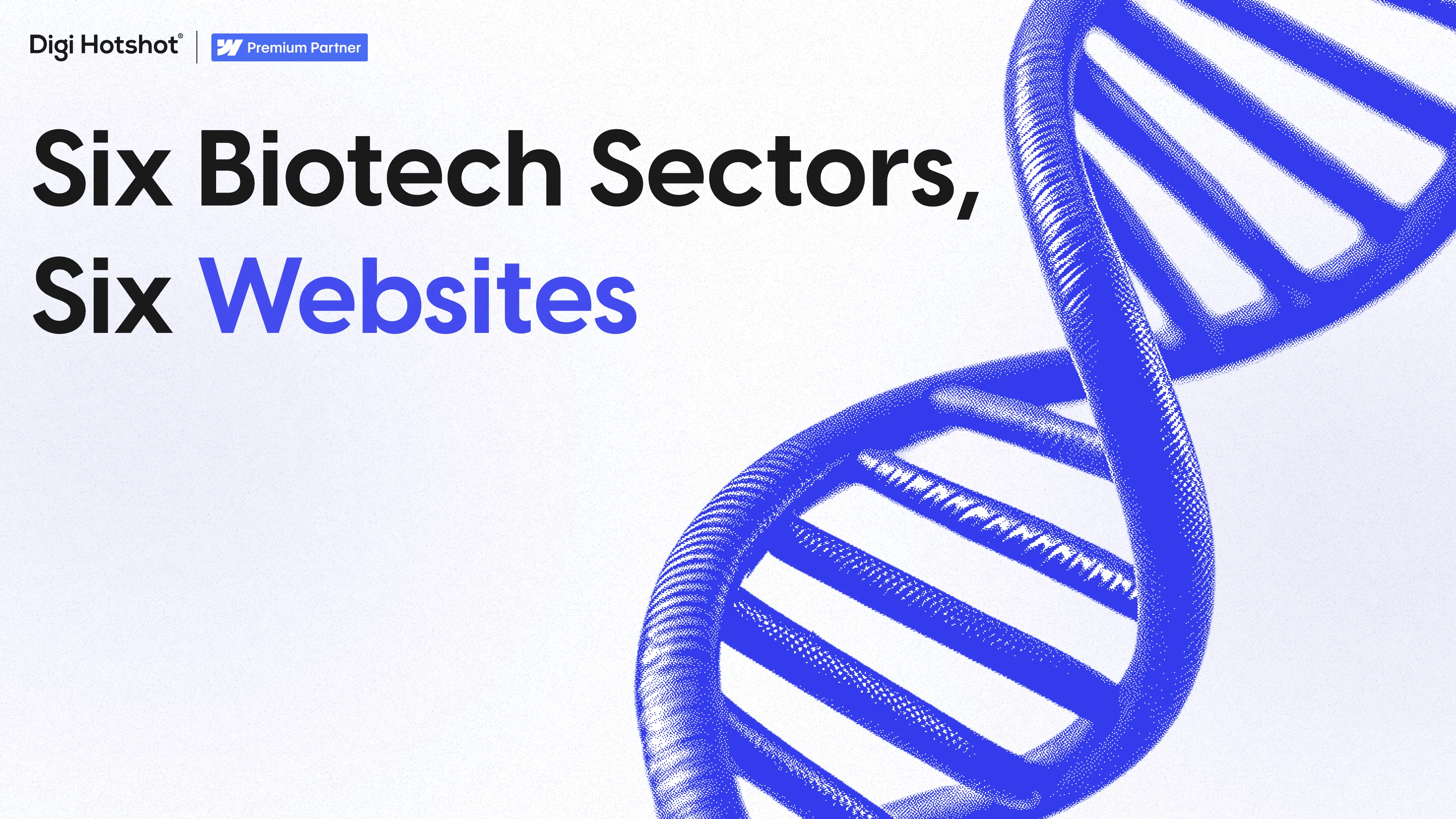 Life Sciences Websites: 6 Sub-Sectors, 6 Strategies