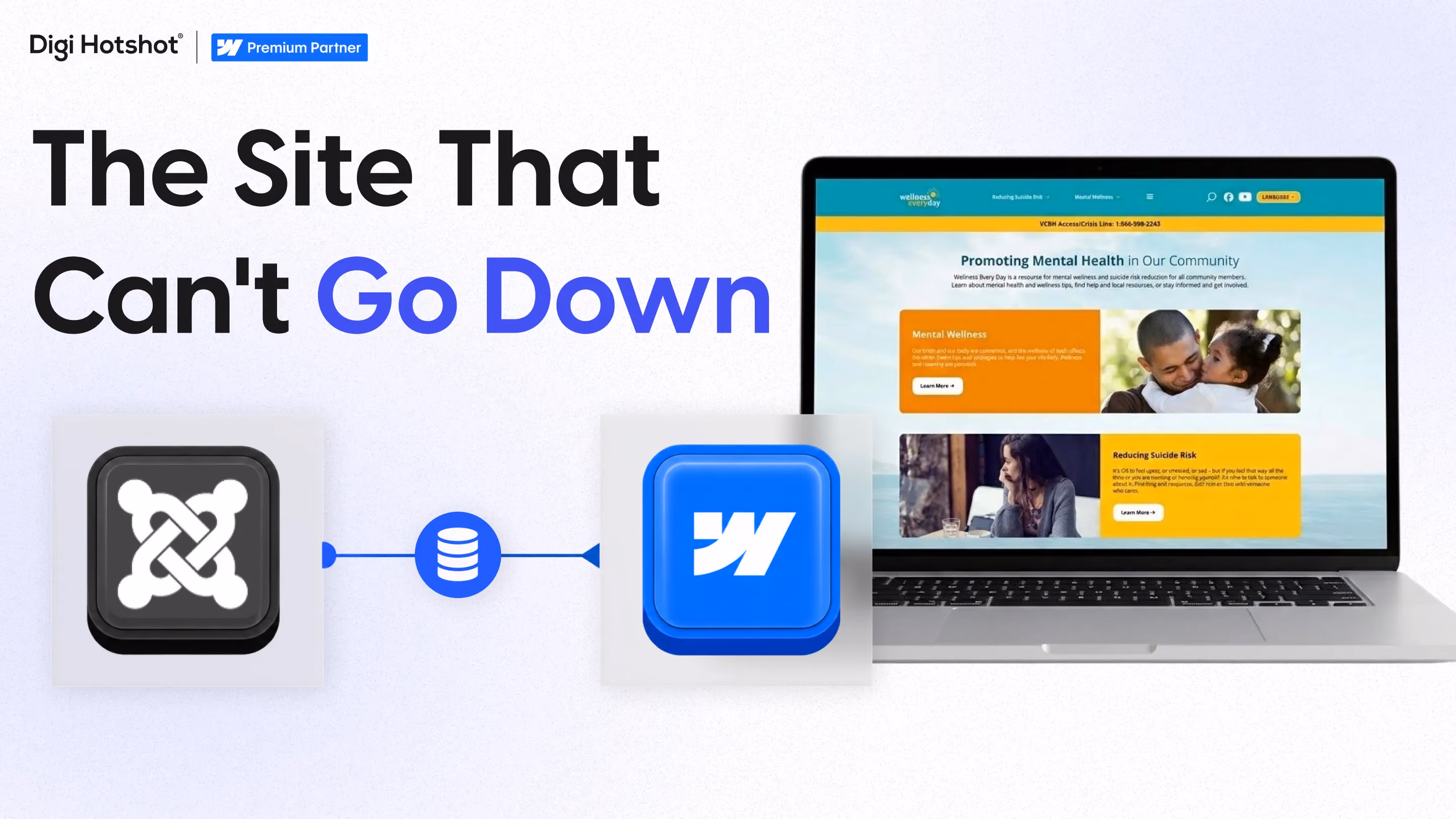 Wellness Everyday: Joomla to Webflow, Zero Downtime