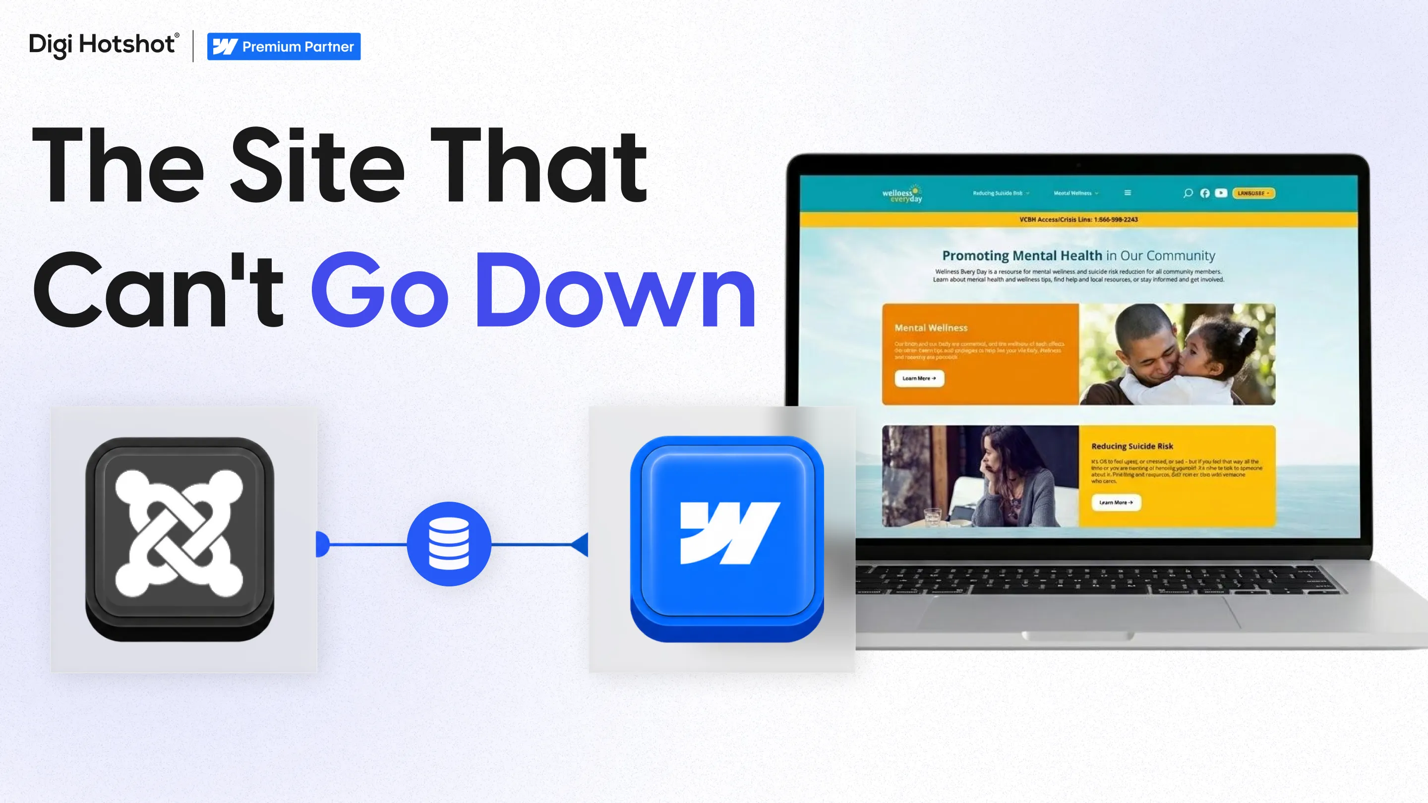 Wellness Everyday: Joomla to Webflow, Zero Downtime