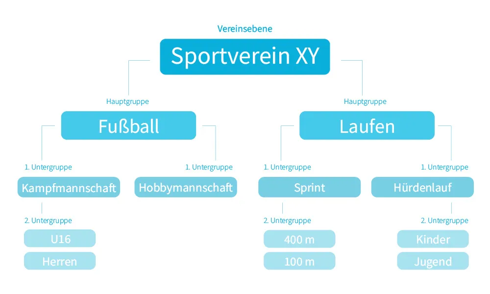 Hierarchische Darstellung eines Sportvereins in Gruppen

