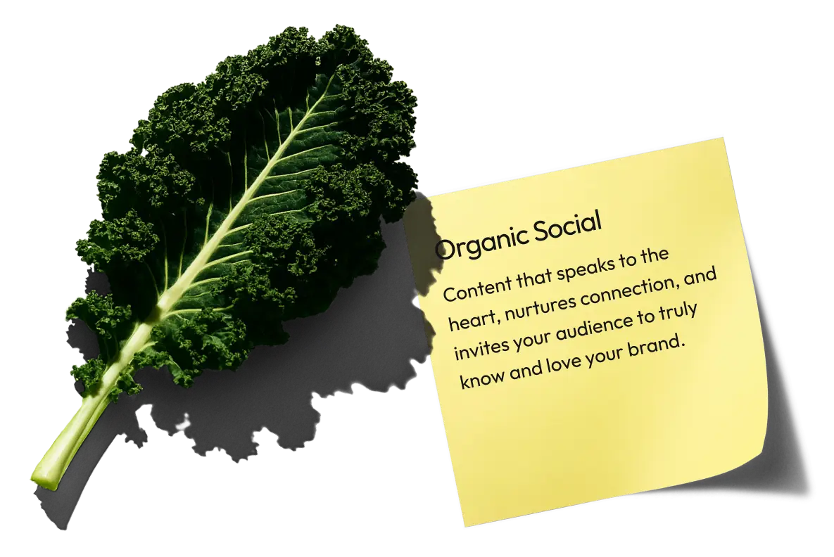 Forleap Marketing. Organic Socials Service Package.