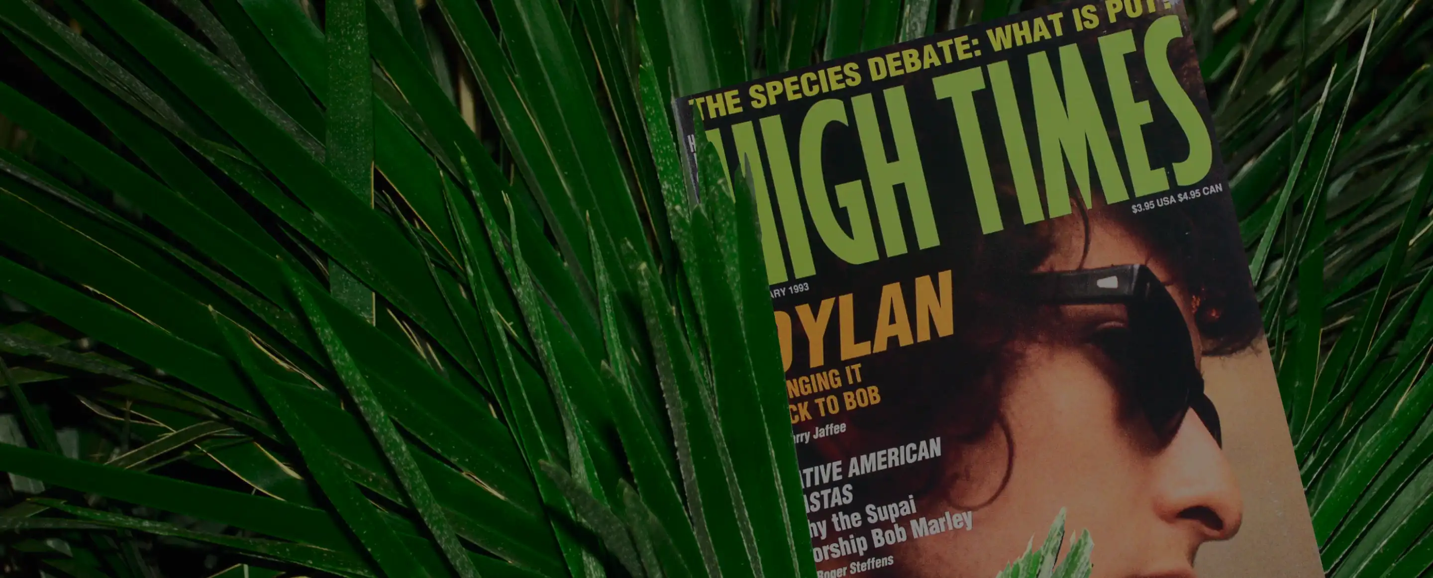 Forleap Marketing. High Times magazine cover with a close-up of a person wearing sunglasses partially obscured by green palm leaves.