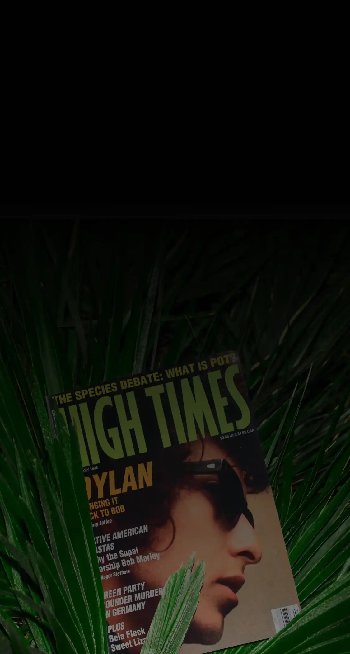 Forleap Marketing. High Times case study hero image. High Times magazine featuring a side profile of a person wearing sunglasses, partially covered by green leaves.