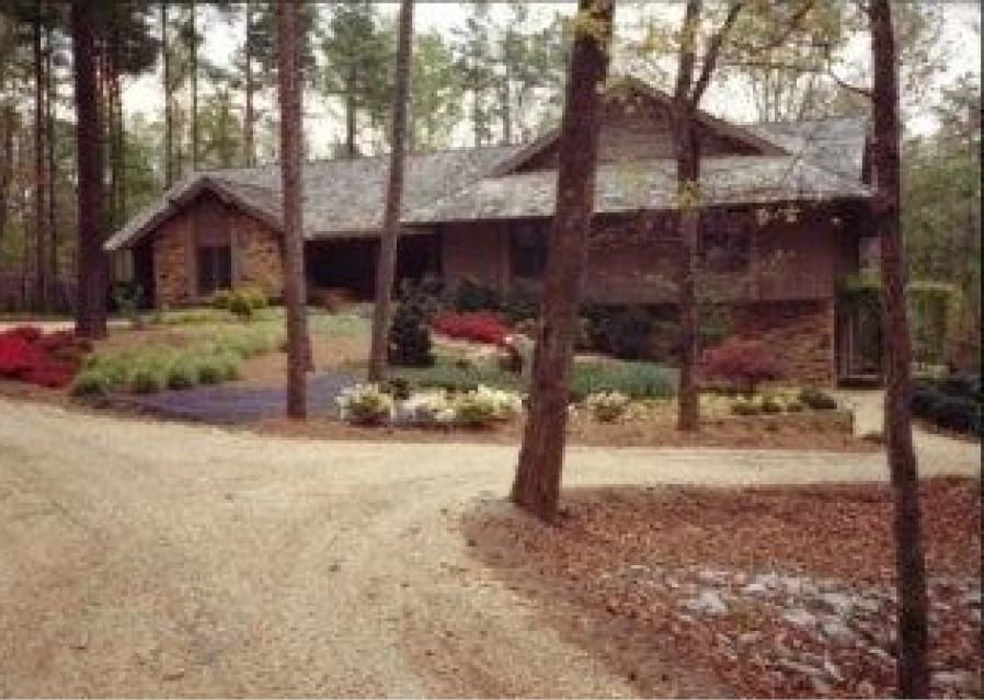 Rustic wooden house nestled in pine forest with landscaped garden