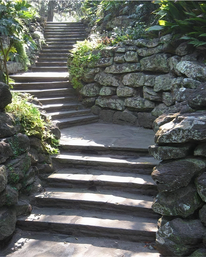A weathered stone wall with various shades of gray and brown stones, showcasing a rustic and natural appearance.