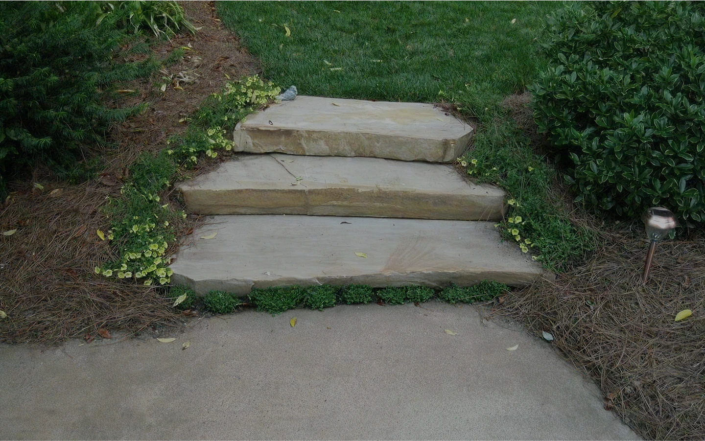 A winding stone path leads through lush greenery to a vibrant garden filled with colorful flowers.