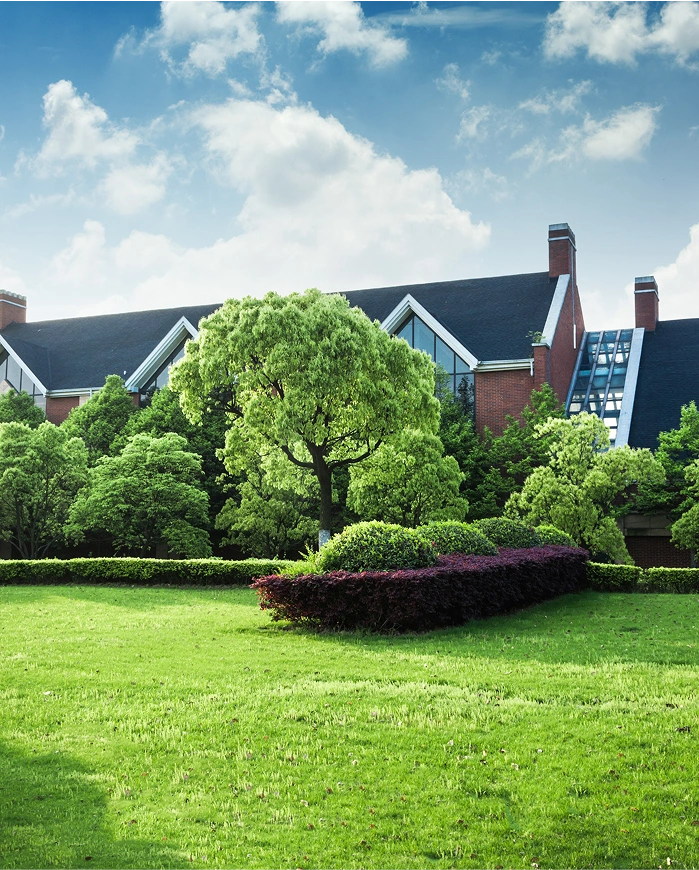 Very green lawn with beautiful landscaping