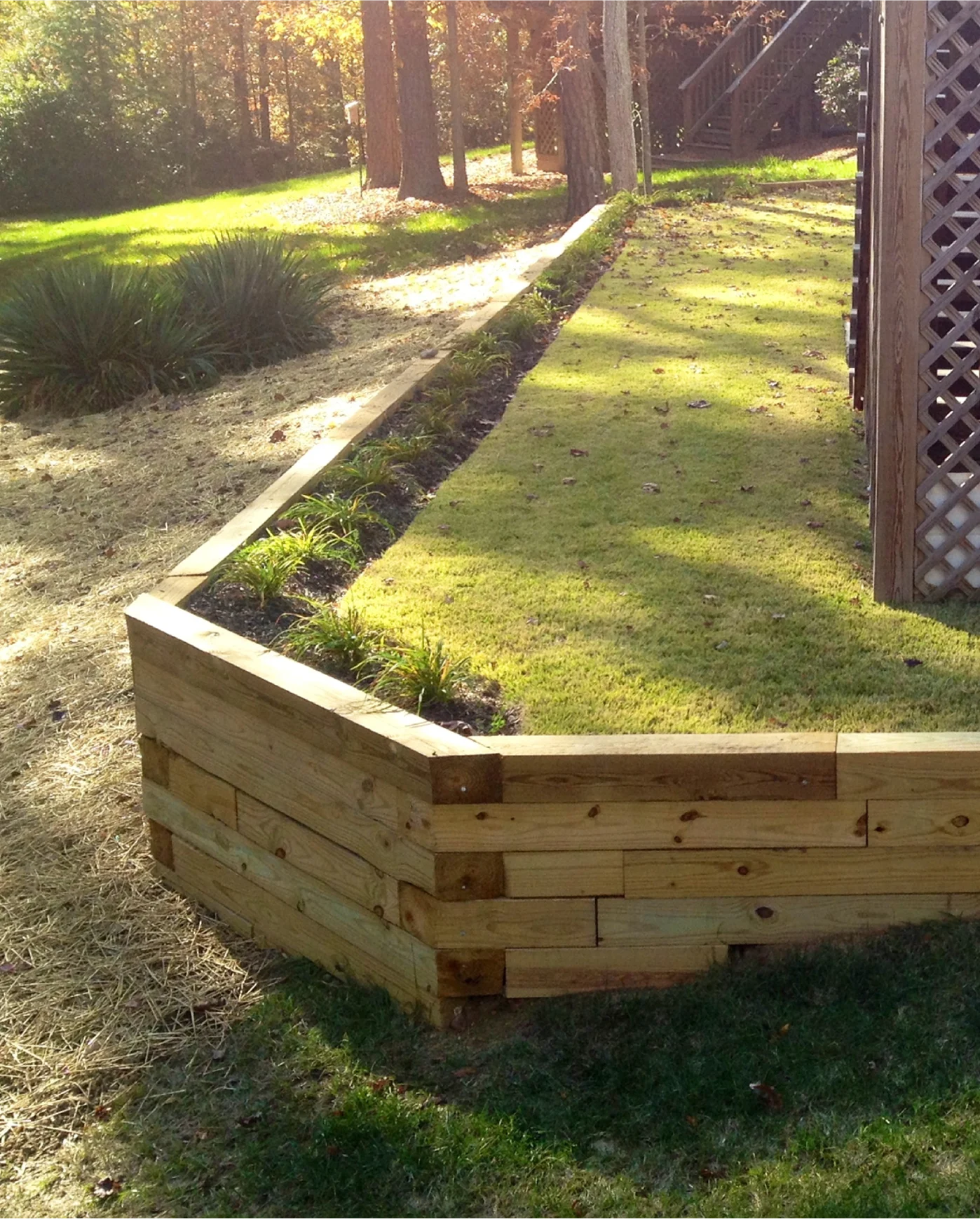 A wooden fence with a plant in the middle.