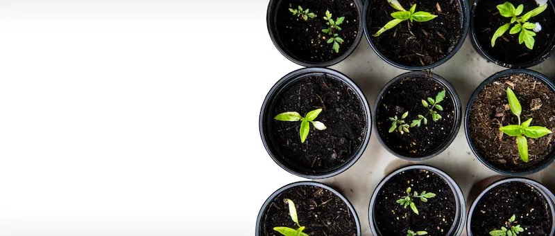 Corporate Incubator Success: 10 Essential Steps