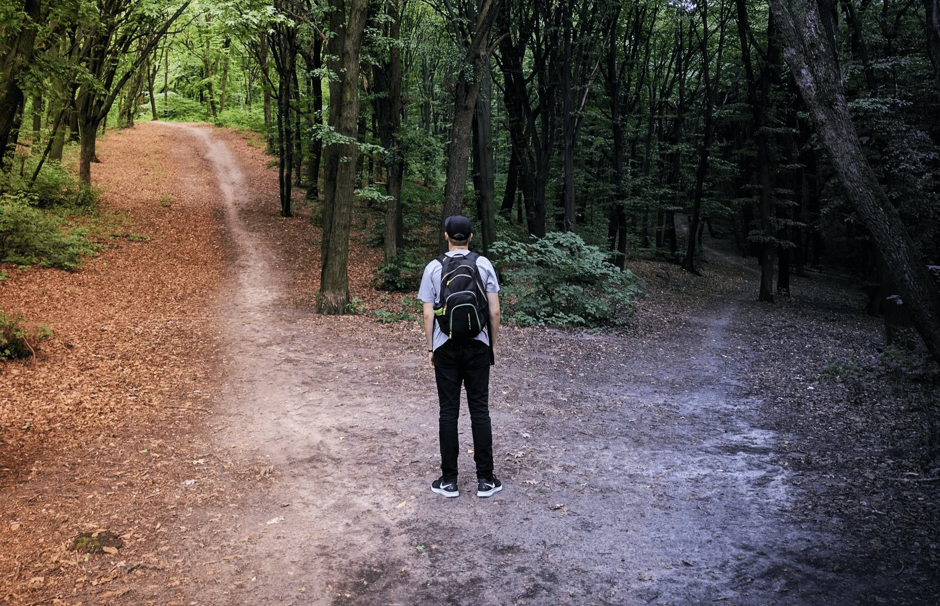 Acquisition vs Alliance: 5 Criteria for Your Startup Strategy