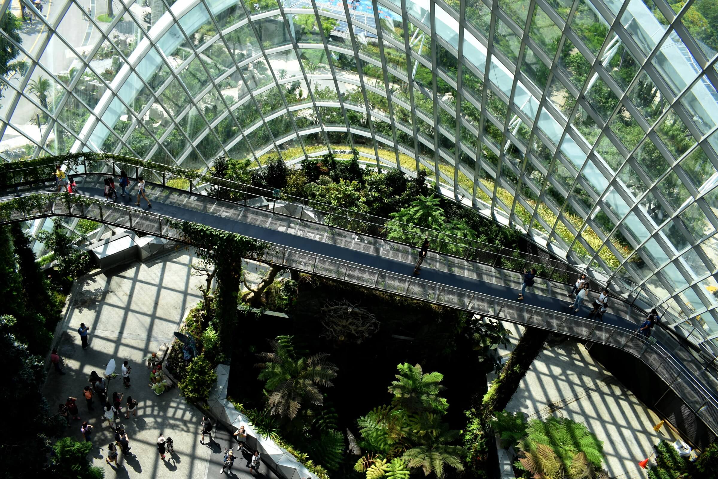 Can corporations be sustainable and profitable at the same time? Yes, here’s how