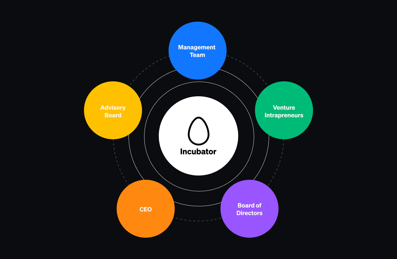 Corporate Incubator structure