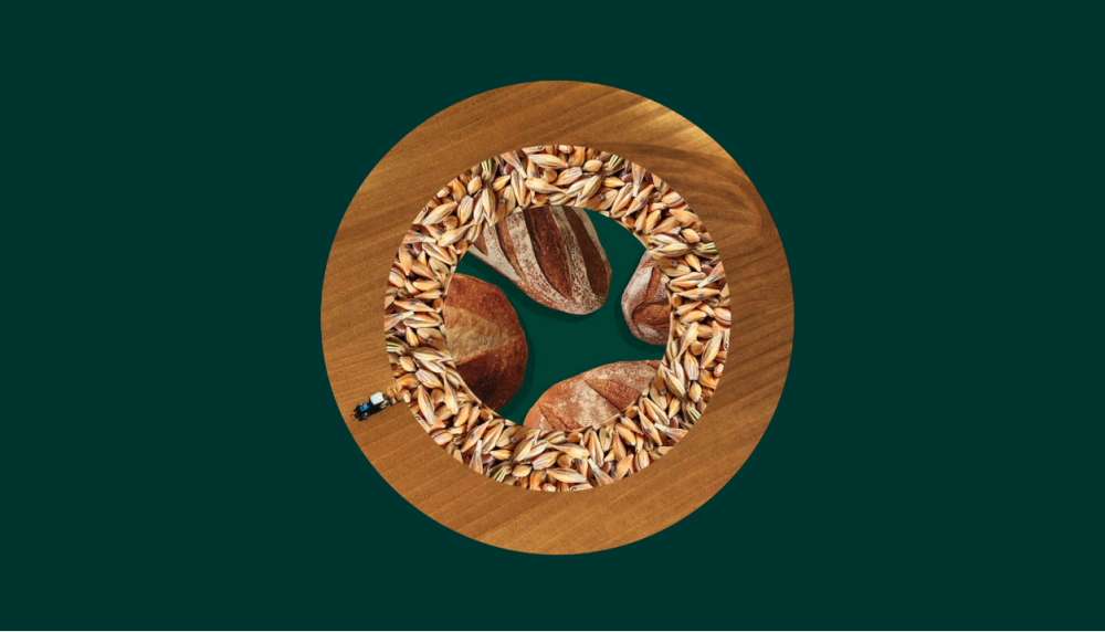 visual representation of  how Evergrain uses upcycled barley to make protein and fibre