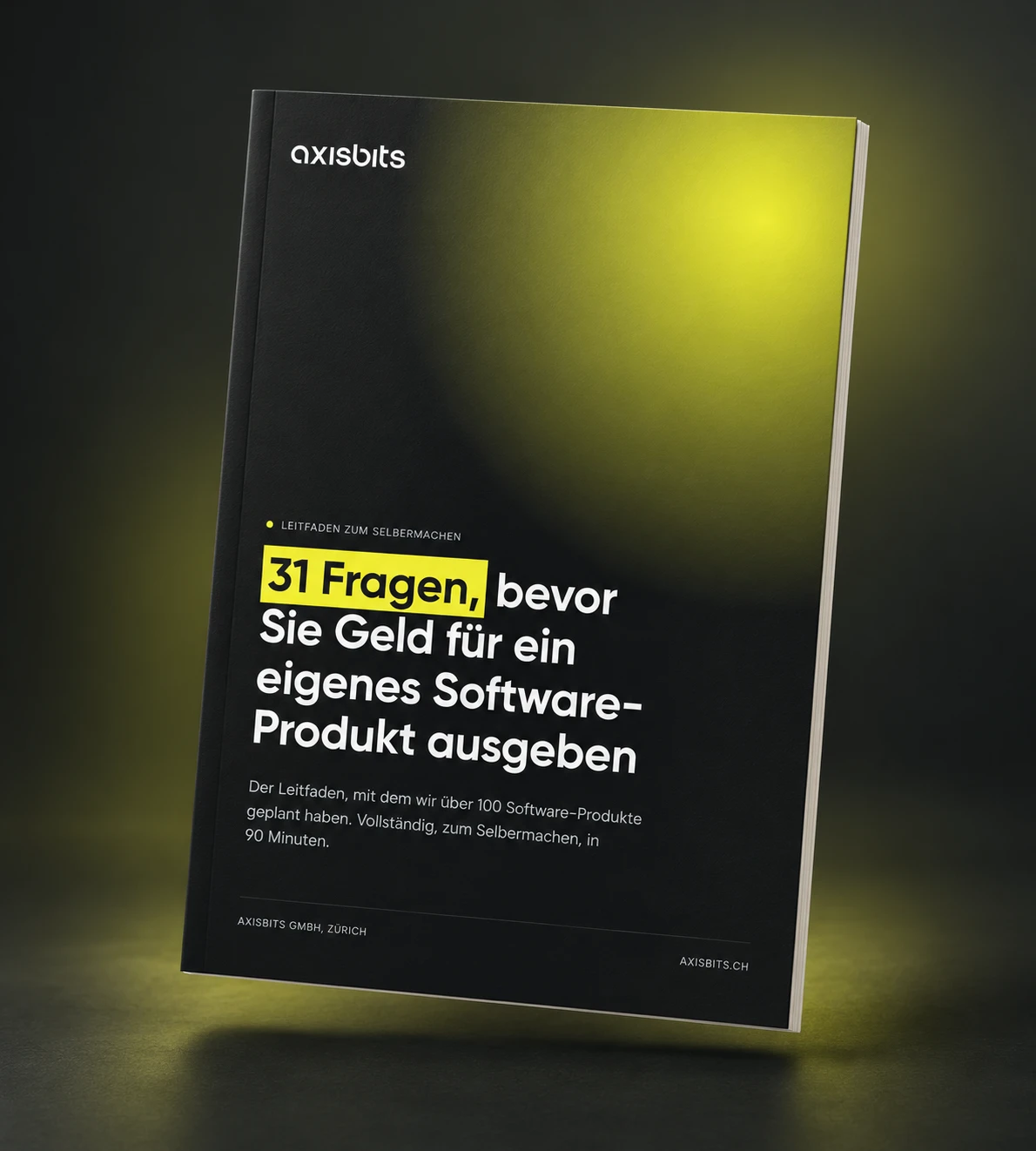 Cover: 31 Fragen, bevor Sie Geld für ein eigenes Software-Produkt ausgeben