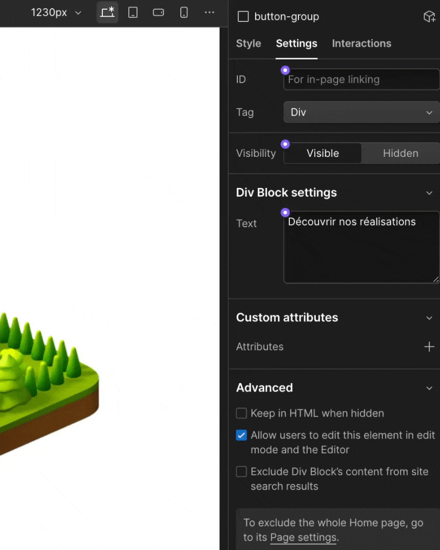 Ajout d'un custom attribute sur Webflow