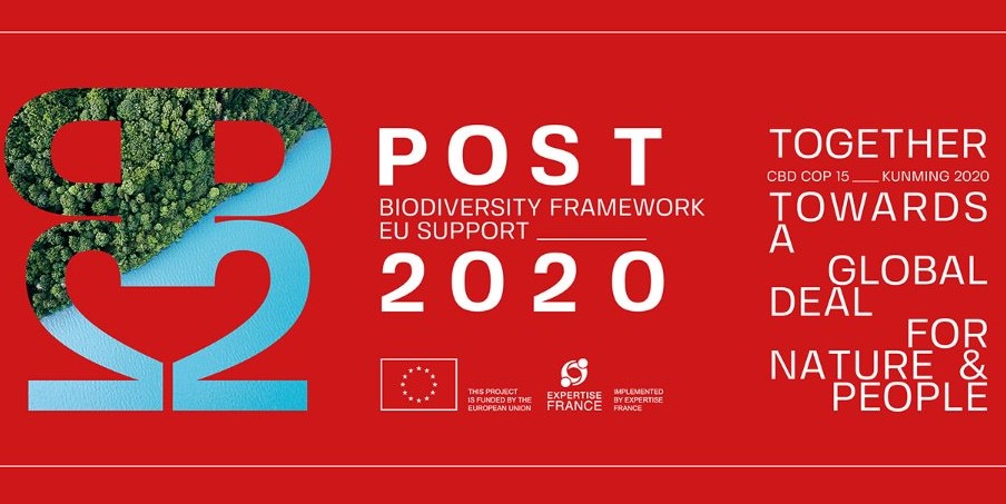 BIODEV2030 and POST-2020 Biodiversity Framework projects with Expertise France