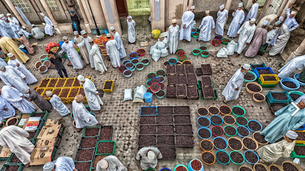 UNESCO Intangible Cultural Heritage selection of the Mejhoul date palm variety