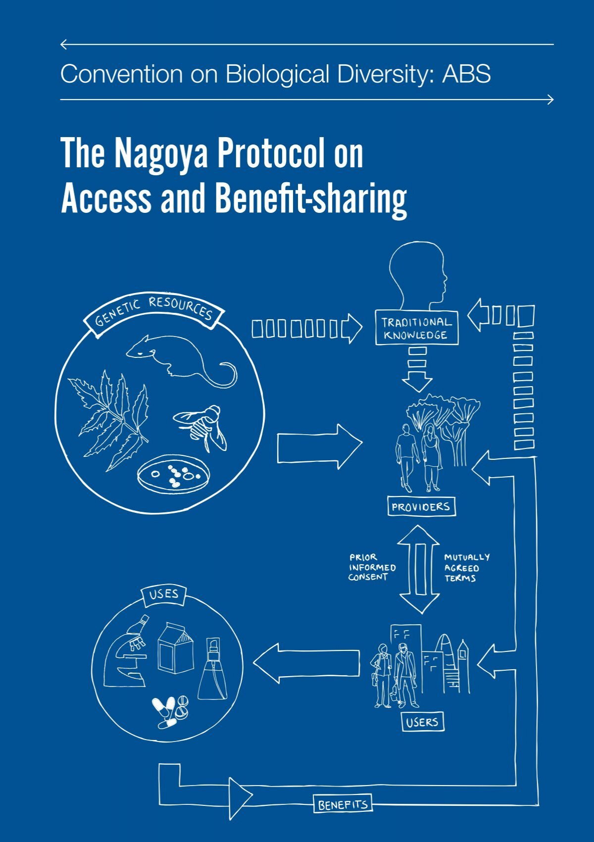 Implementing the Nagoya Protocol in Saudi Arabia
