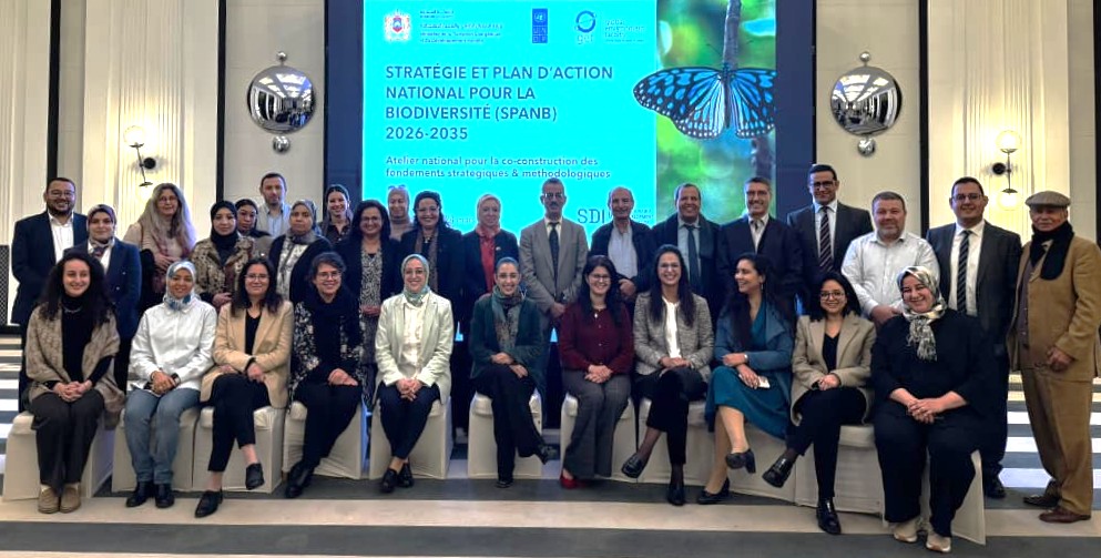 Morocco's National Biodiversity Strategy and Action Plan (NBSAP) and 7th National Report