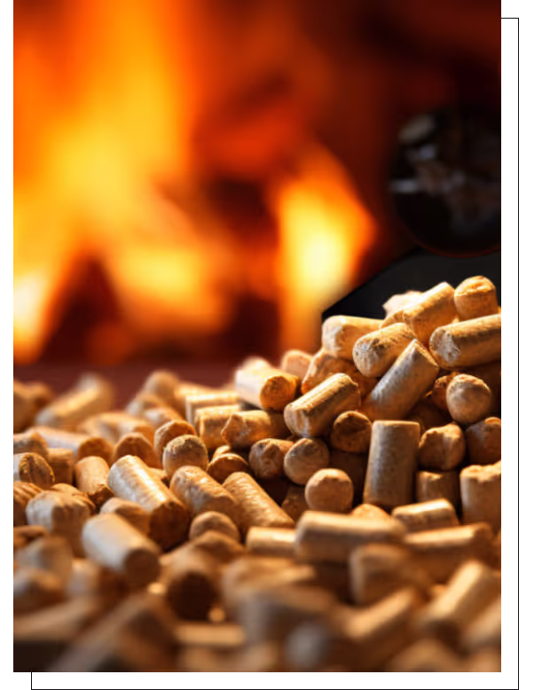 Pellets
