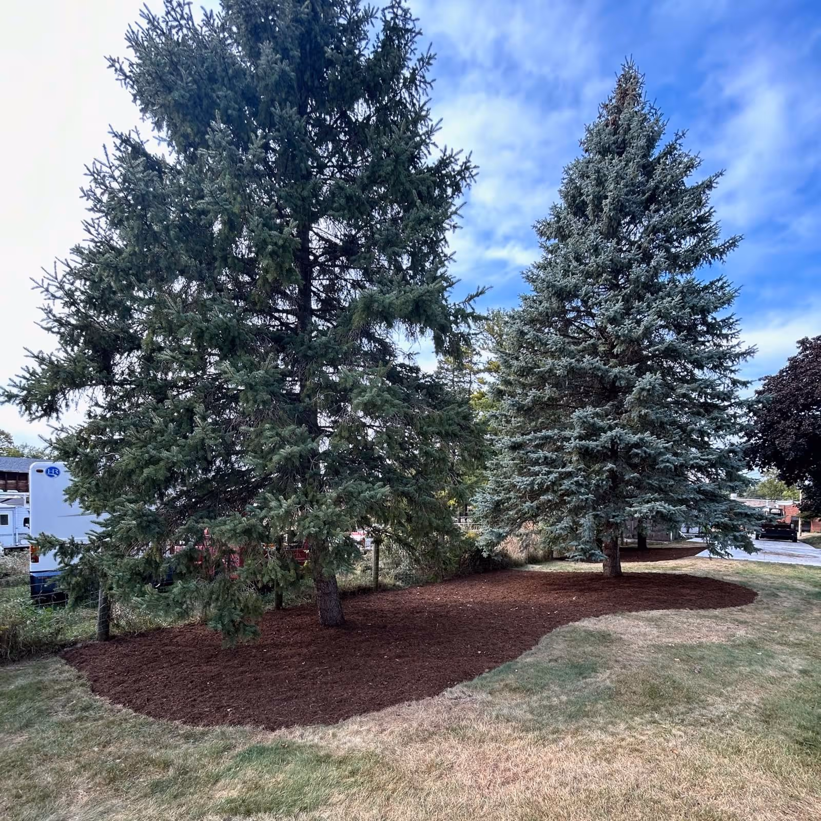 Horicon WI pine tree mulch installation — Avid Landscapes landscape bed refresh