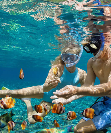 Scuba diver exploring the coral reefs and marine life of Mauritius with MJ Holidays.