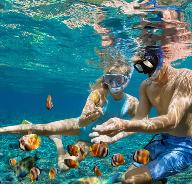 Plongée sous-marine dans les eaux turquoise de l’île Maurice avec MJ Holidays.