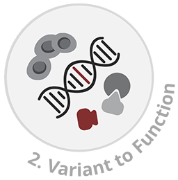 Variant to Function