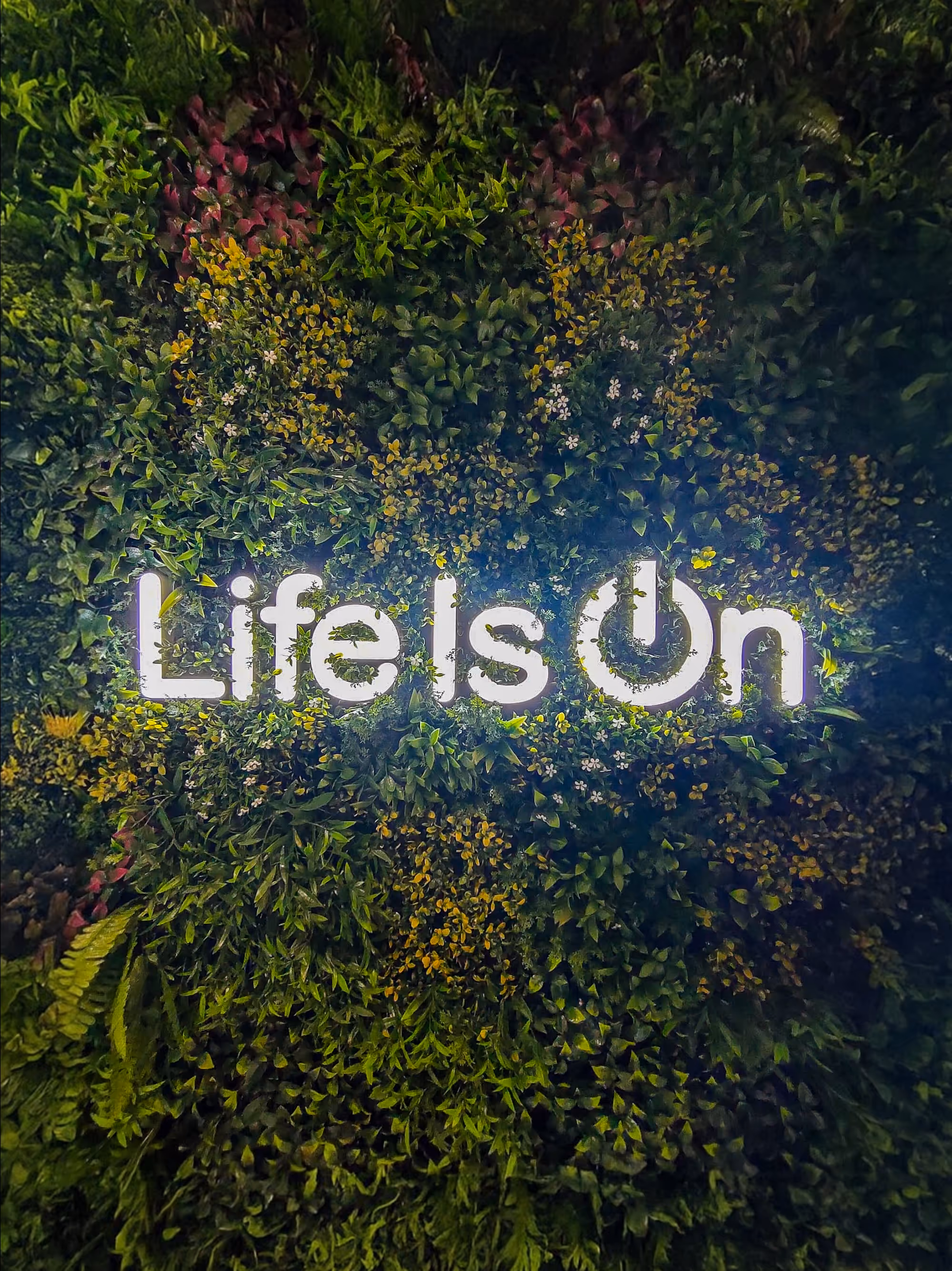 Schneider - We Stick - Life is on