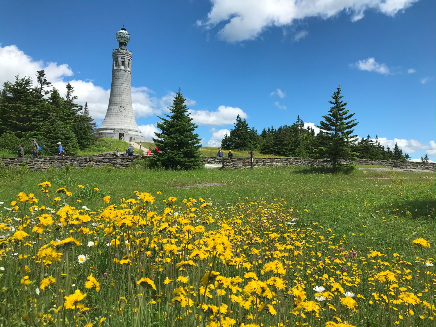 Bright yellow flowers in a field of grass are in the foreground. A stone wall and some dark green trees are in the midground, with a large grey tower with an orb on the top in the background. 