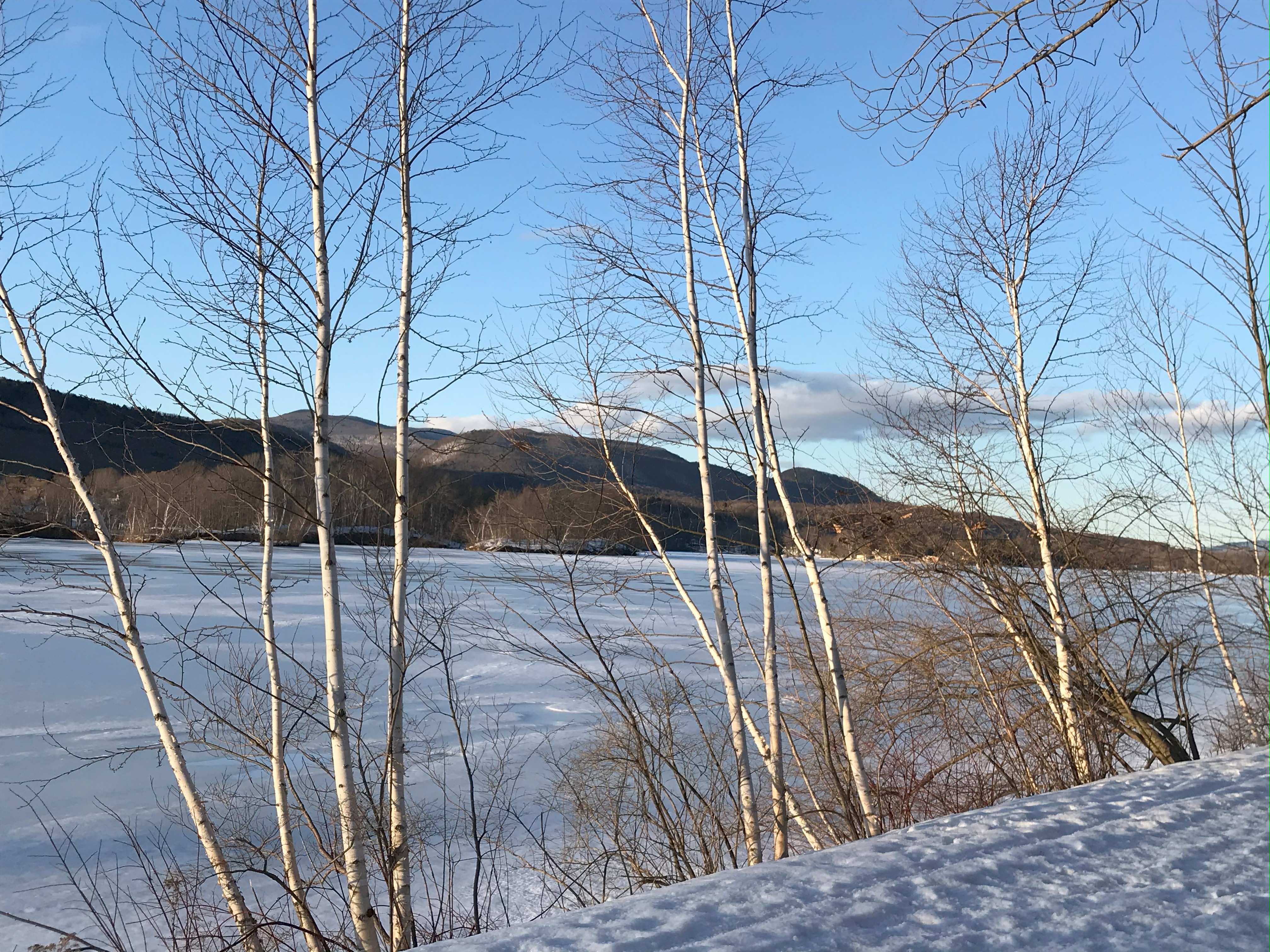 A blue sky over a mountain range in the background meets a snowy midground in the image. In the foreground, leafless white-bark trees stand at the front edge of the snow-covered Reservoir.