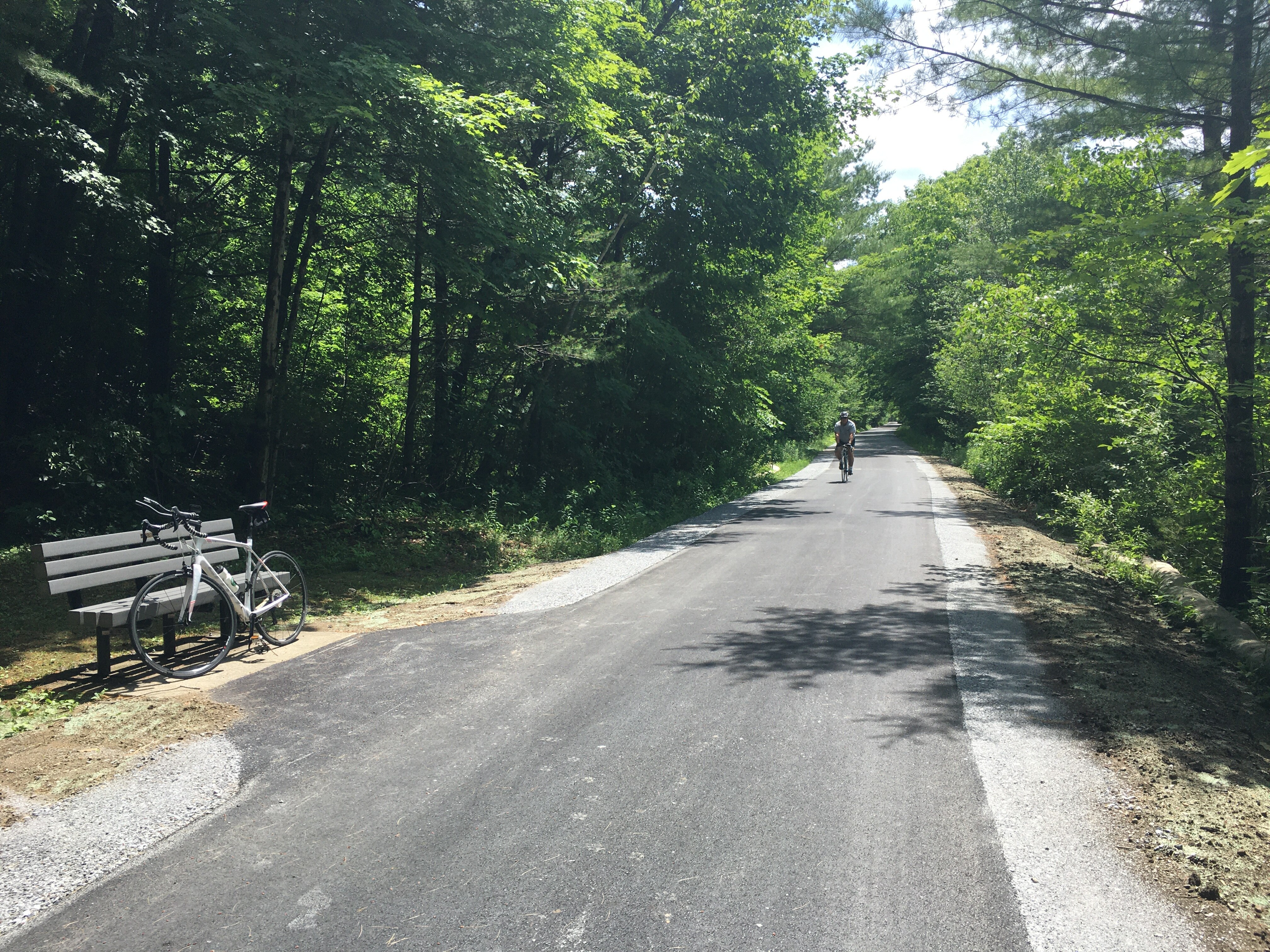 An asphalt path with stone dust shoulders on the right and left runs through the middle of the image. Large, bright-green leafy trees are on both sides of the path. In the foreground, on the left side of the image, a bicycle rests against a bench. 