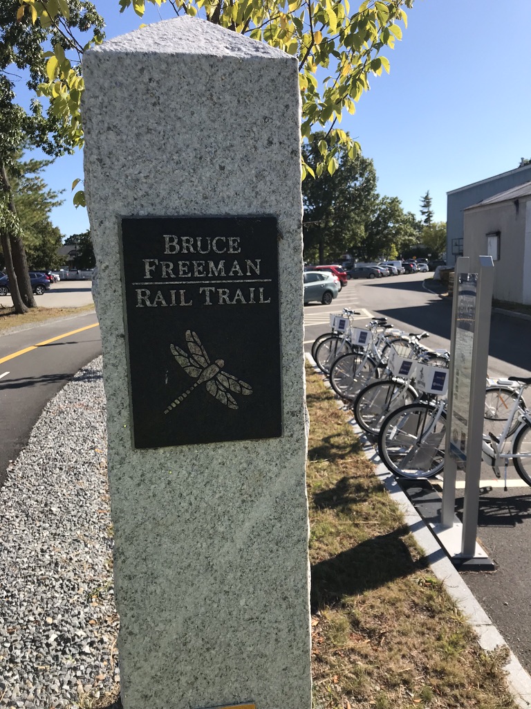 A gray granite post features a dark brown sign that says Bruce Freeman Rail Trail with an image of a dragonfly. To the right of the post, and in the midground of the image, is a docking station for Minuteman Bike Share. 