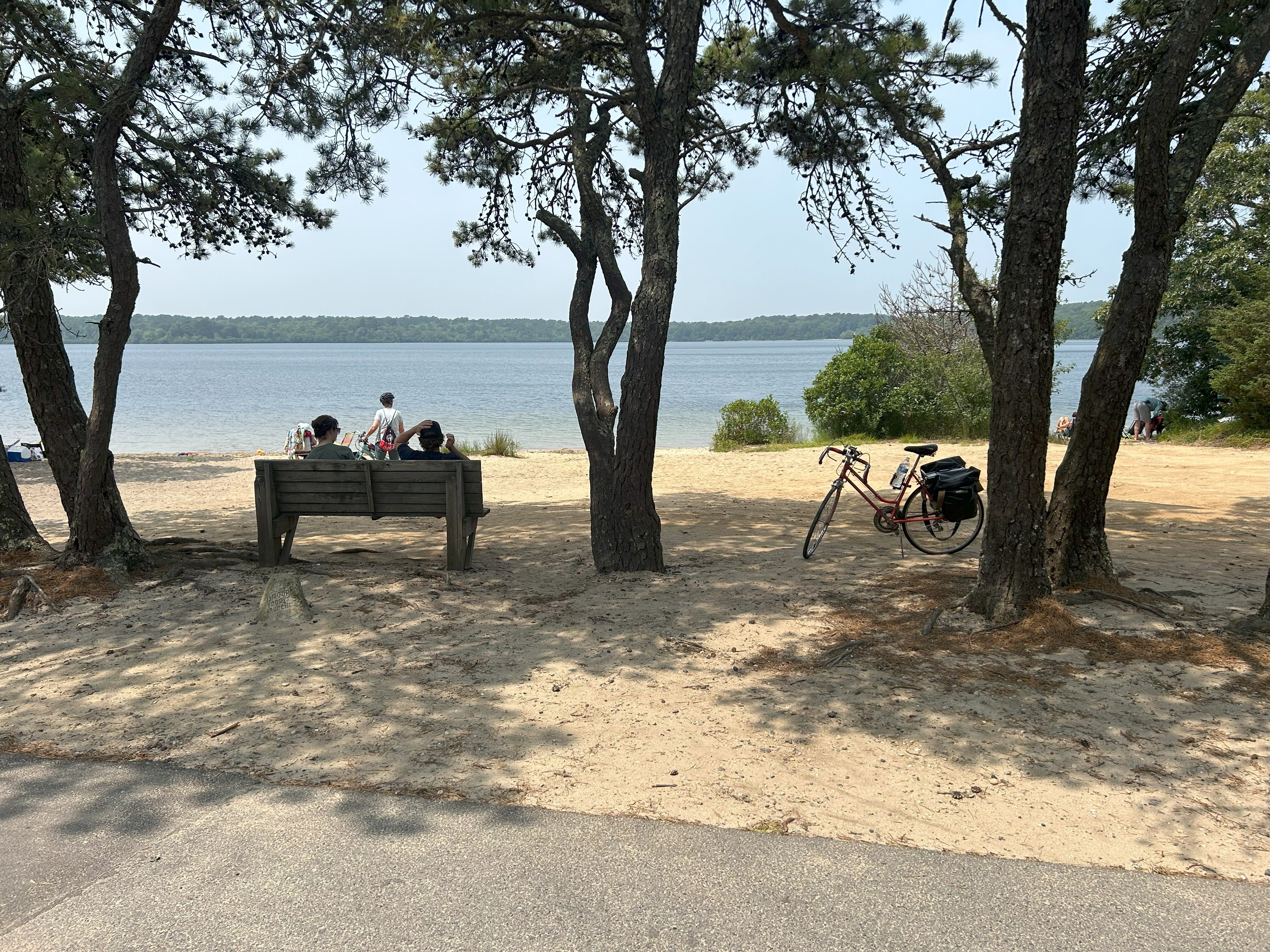 Three shaded trees feature in the midground of the image, with two people sitting on a bench in between the left tree and the middle tree. A bicycle is in between the middle tree and the right tree. Seymour Pond is in the background. 