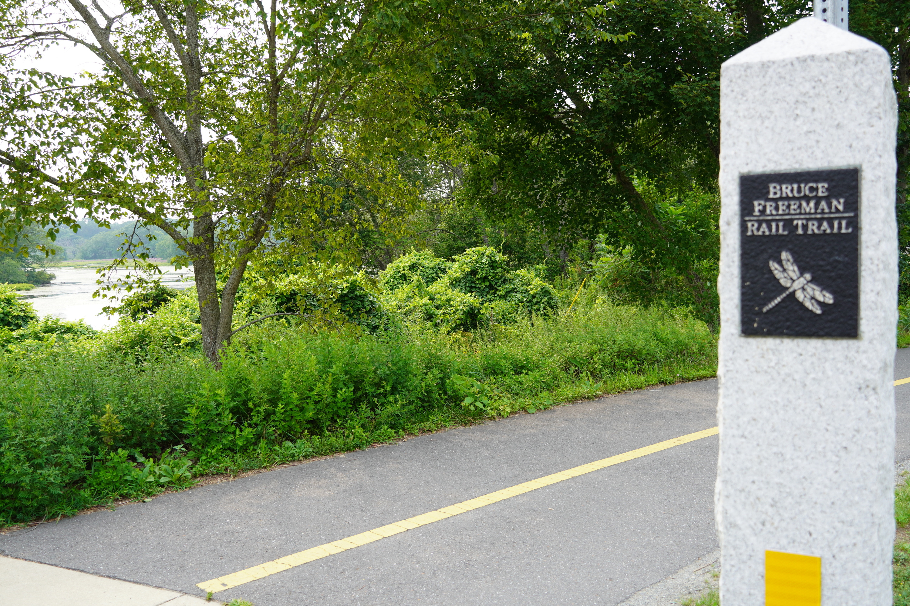 A picture of a granite post with a plaque with a dragonfly and the trail name on it. The path is shown with warner pond peeking through the trees in the background