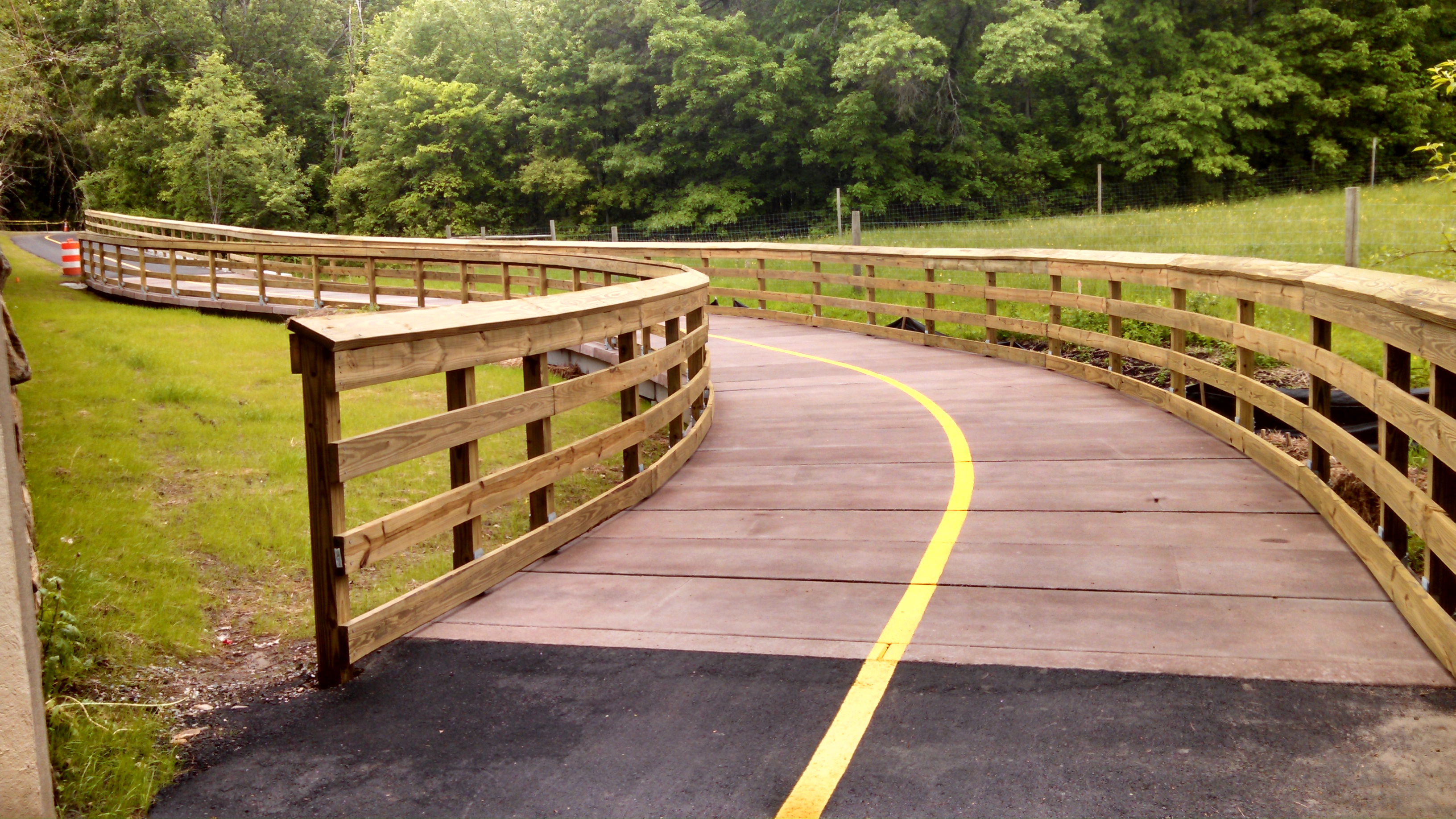 this picture shows a section of the trail on a boardwalk.