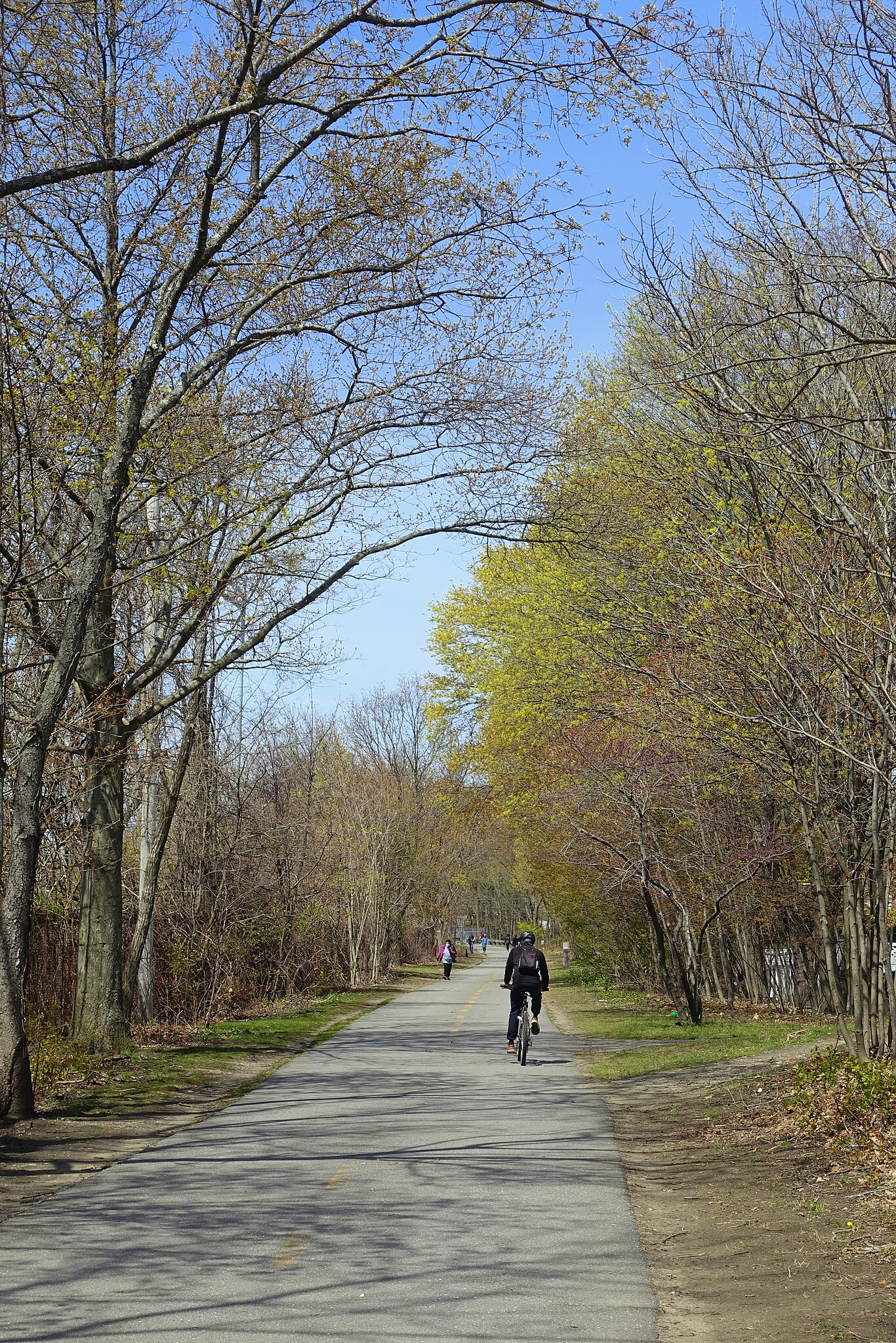 this photo shows a view looking down the trail in springtime, with trees on both sides. there is a biker in front and a walker in the distance