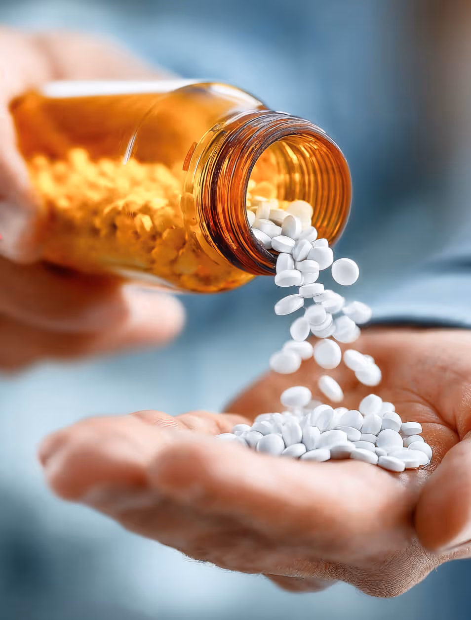 Education Image | Premiere Education