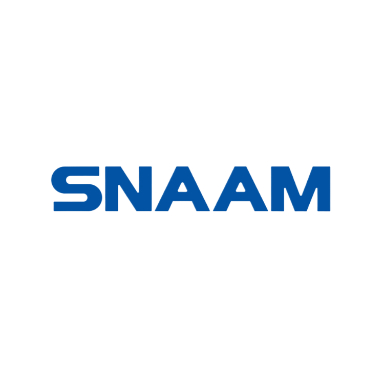 Logo SNAAM