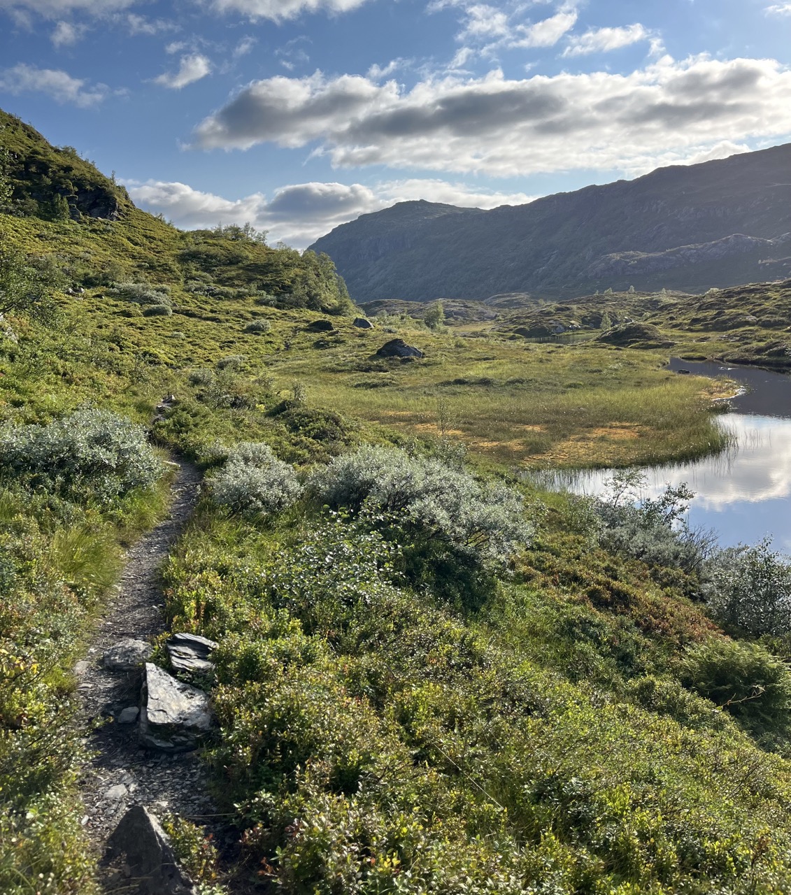 [background image] image of mountain range