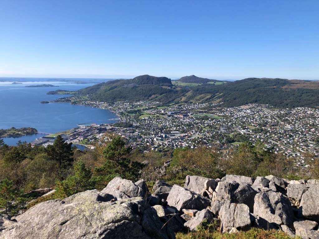 image of conservation team in action