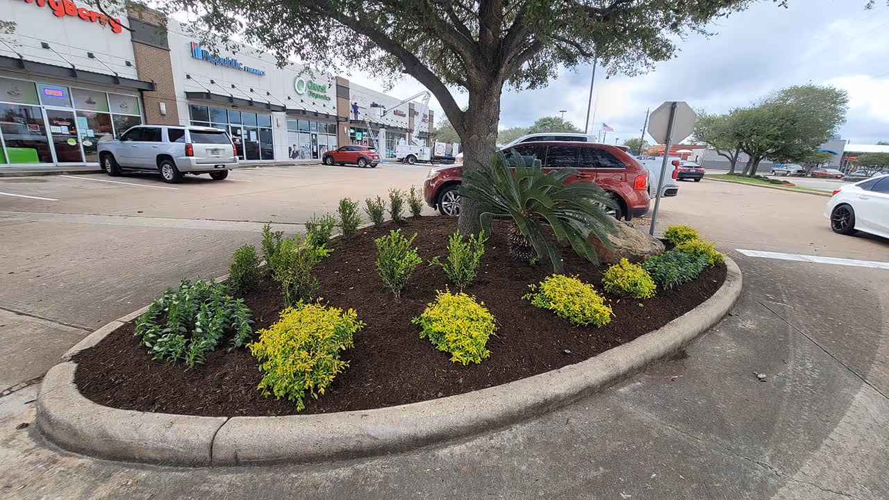 tree and shrub planting services for commercial sites