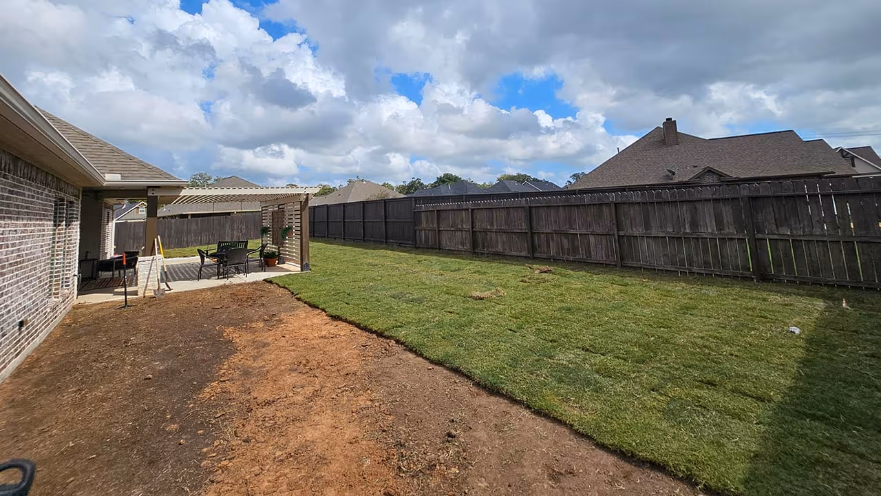 Professional turf maintenance and fertilization near me
