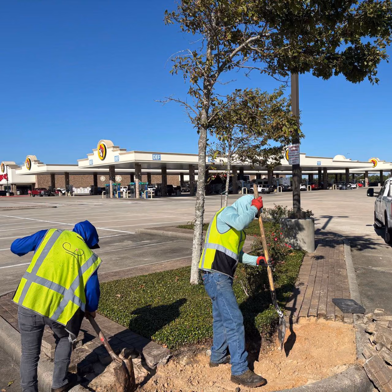 Professional landscape crew completing a new landscape installation in Fort Bend County