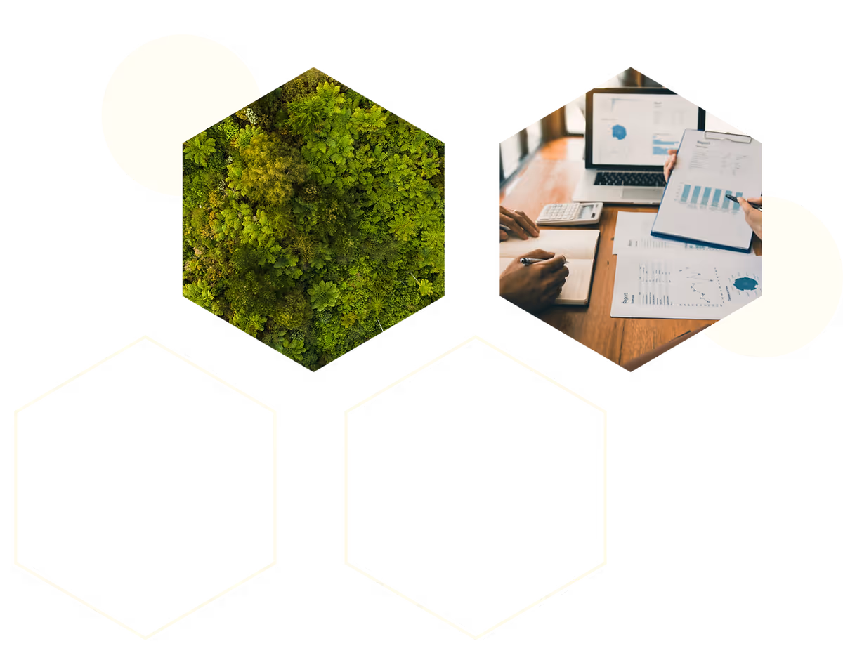 Hexagons with greenery and computers inside