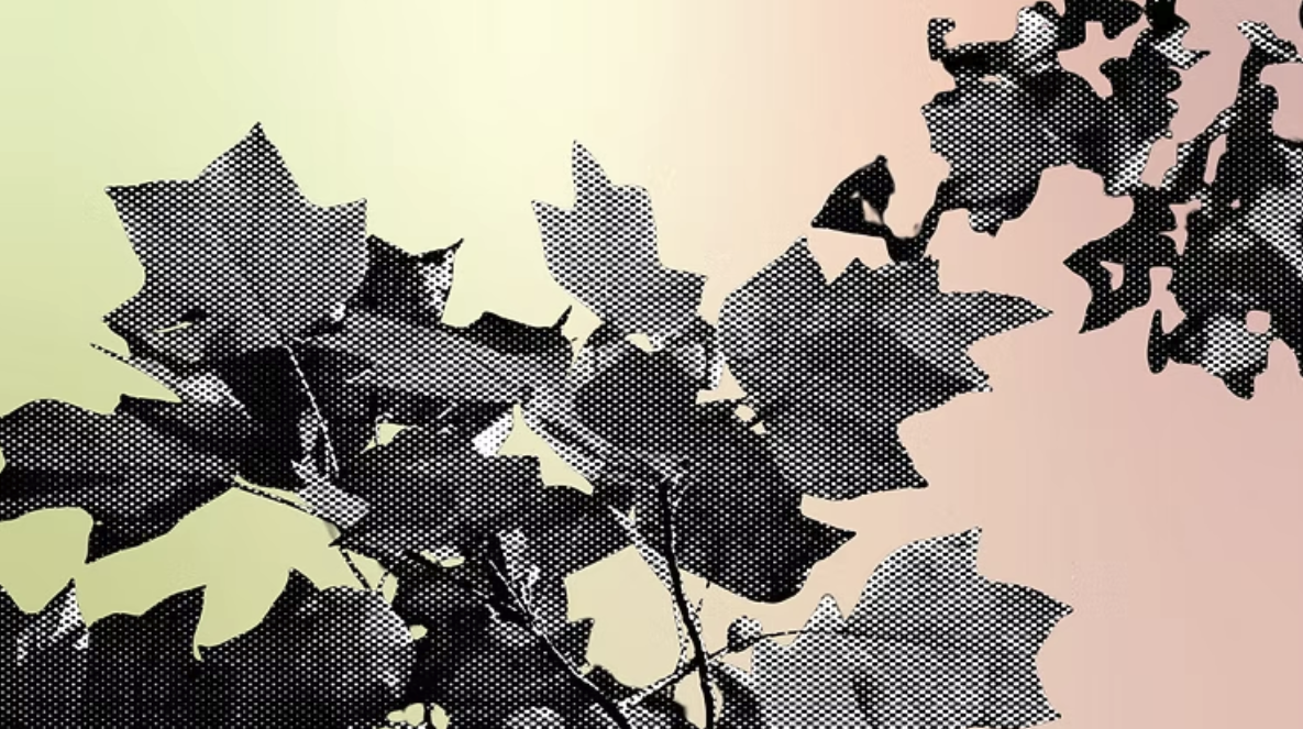 An Autumn Check-In: Is the Music, Media & Entertainment Industry on Track for Net Zero?