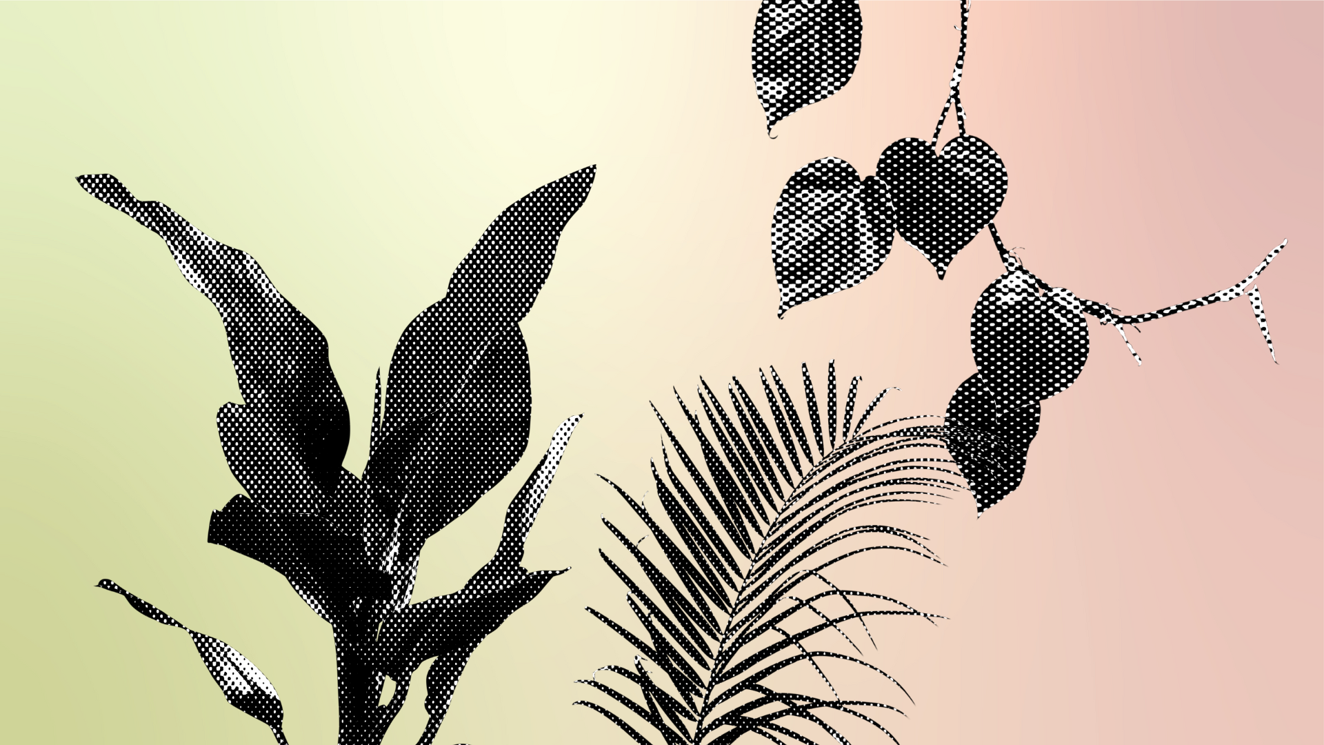 Understanding Net Zero: Principles and Application