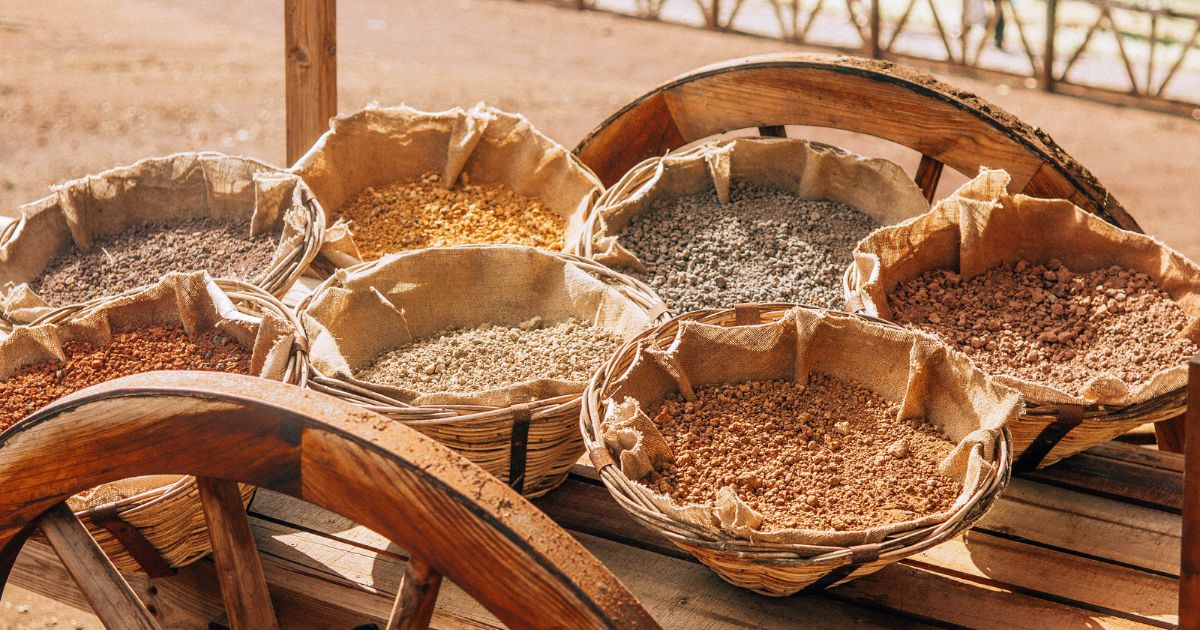 Vue panoramique sur Chamarel et sa nature luxuriante avec MJ Holidays à l’île Maurice.